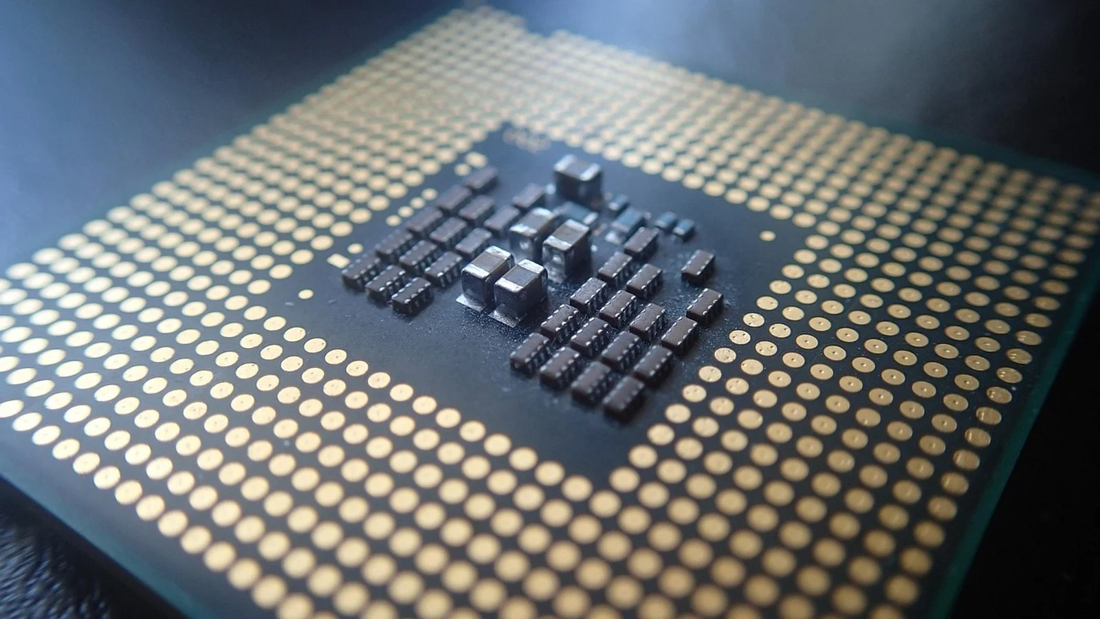 Close-up of a computer processor chip's underside pin grid array