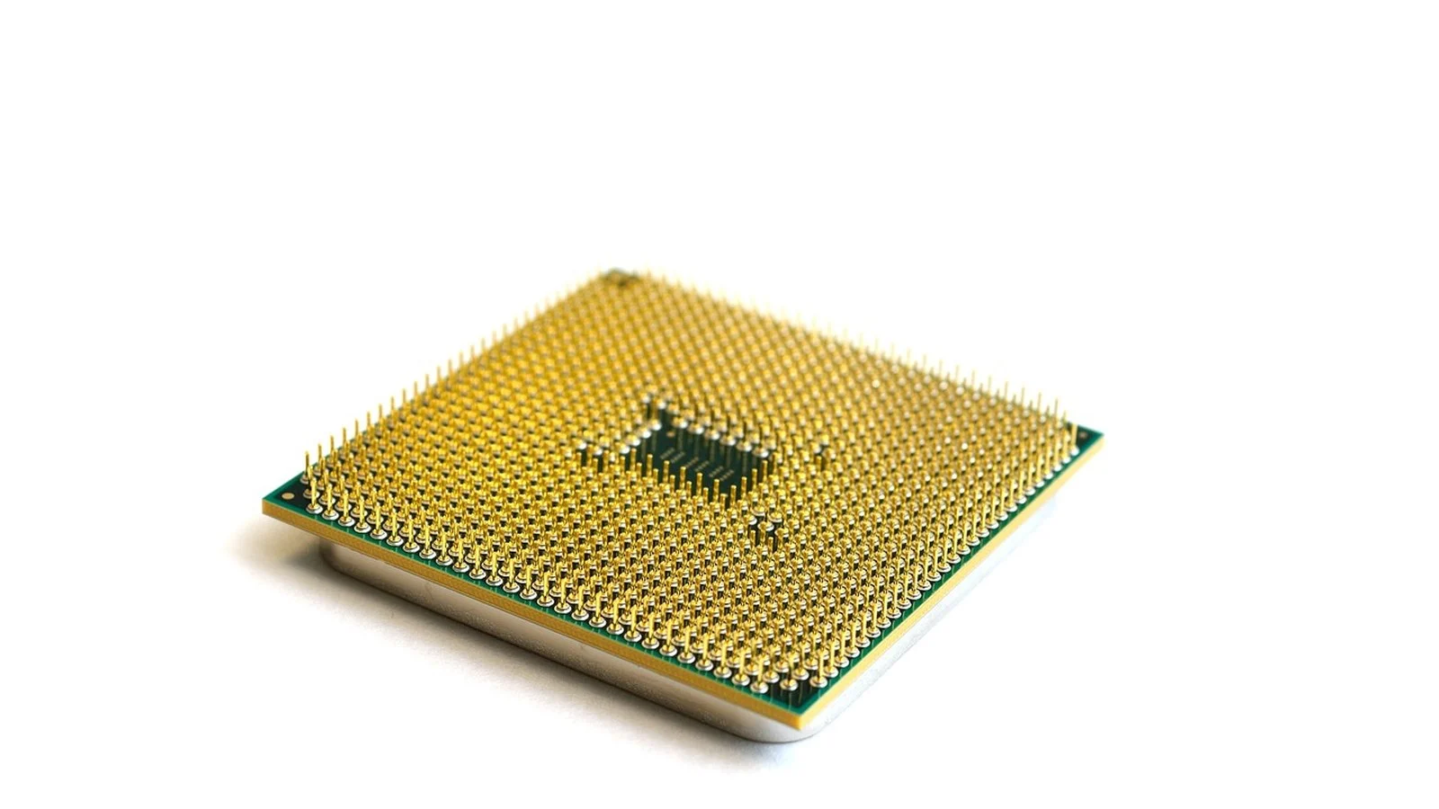 Close-up of a computer processor's gold pin grid array on white background