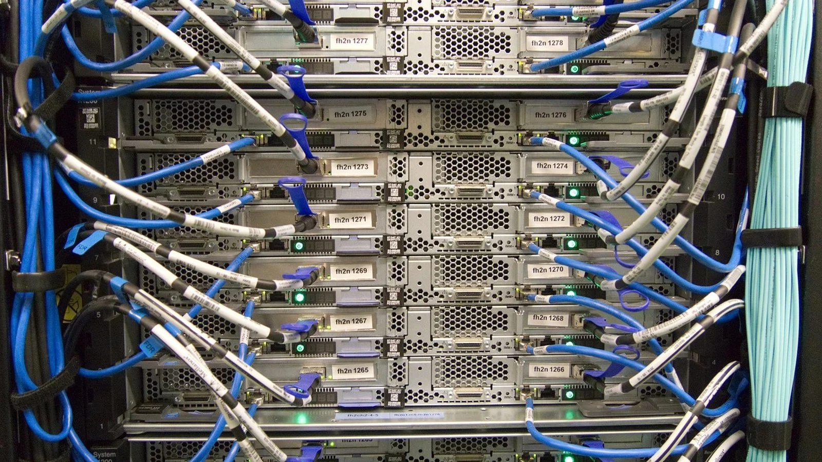 Rear view of a server rack with dozens of blue and white labeled network cables