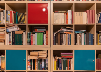 Bookshelf cubes filled with books and two teal cabinet doors, one red door