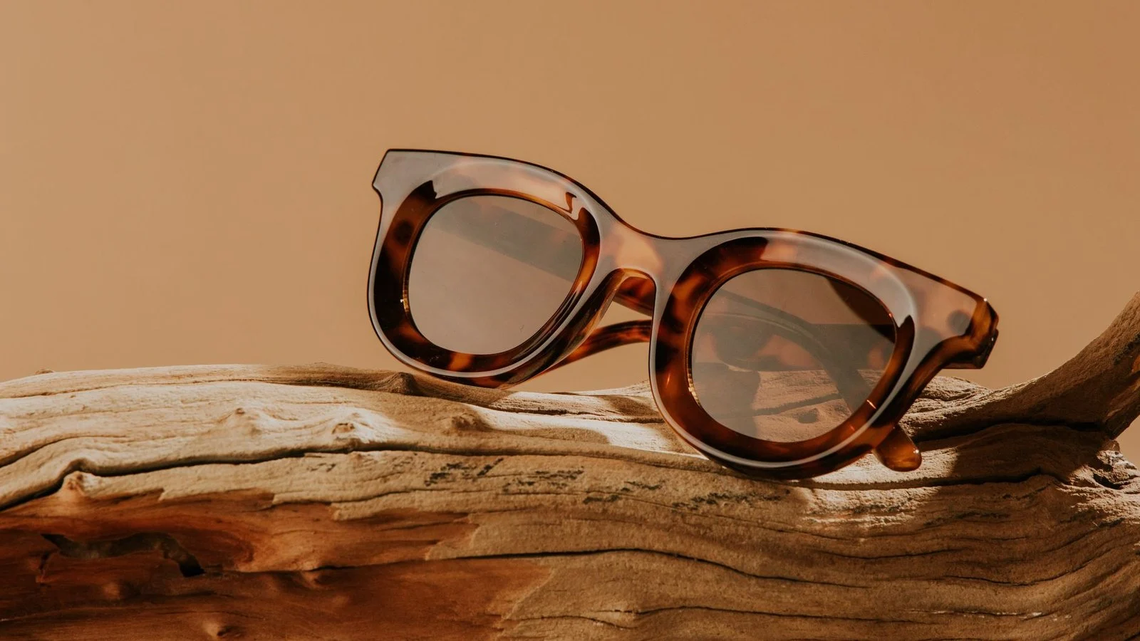 Round tortoiseshell sunglasses resting on driftwood against an amber background
